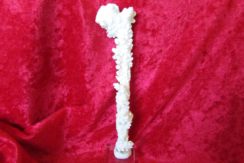 Bisbee Calcite - Bisbeeborn