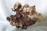 Vanadinite - Bisbeeborn - 3