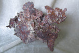 Copper - SOLD - Bisbeeborn - 4