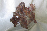 Copper - SOLD - Bisbeeborn - 5