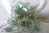 Fluorite - SOLD - Bisbeeborn - 1