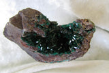 Dioptase - Bisbeeborn - 2