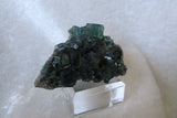 Rogerley Fluorite-SOLD - Bisbeeborn - 2