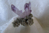 Amethyst - Bisbeeborn - 2