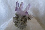 Amethyst - Bisbeeborn - 1