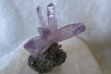 Amethyst-SOLD - Bisbeeborn - 1