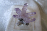 Amethyst-SOLD - Bisbeeborn - 4