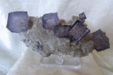Fluorite-SOLD - Bisbeeborn - 4
