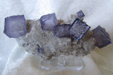 Fluorite-SOLD - Bisbeeborn - 1