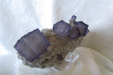 Fluorite-SOLD - Bisbeeborn - 2
