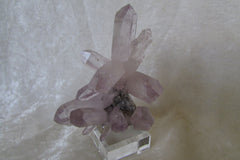 Amethyst - Bisbeeborn - 1