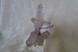 Amethyst - Bisbeeborn - 2
