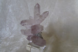Amethyst - Bisbeeborn - 3