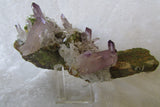 Amethyst - Bisbeeborn - 1
