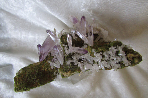 Amethyst - Bisbeeborn - 2