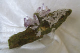 Amethyst - Bisbeeborn - 3