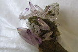Amethyst - Bisbeeborn - 4