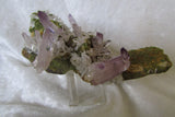 Amethyst - Bisbeeborn - 5