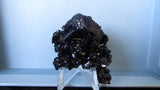 Azurite - Bisbeeborn - 3