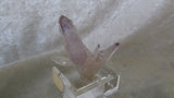 Amethyst - Bisbeeborn - 3