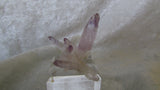 Amethyst - Bisbeeborn - 2