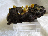 Wulfenite - Bisbeeborn - 3