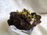 Wulfenite - Bisbeeborn - 5