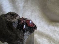 Rhodochrosite - Bisbeeborn - 1