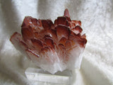 Celestine-SOLD - Bisbeeborn - 4