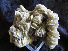 Barite - Bisbeeborn - 1