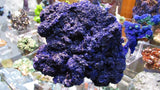 Azurite - Bisbeeborn - 1