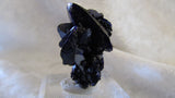 Azurite - Bisbeeborn - 2
