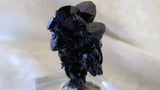 Azurite - Bisbeeborn - 3