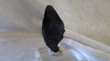 Azurite - Bisbeeborn - 2