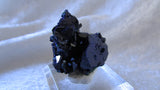Azurite - Bisbeeborn - 2