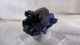 Azurite- SOLD - Bisbeeborn - 3