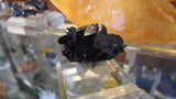 Azurite- SOLD - Bisbeeborn - 6
