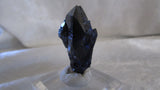 Azurite - Bisbeeborn - 2