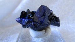 Azurite - Bisbeeborn - 1