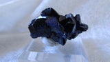 Azurite - Bisbeeborn - 2