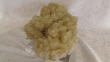 Barite - Bisbeeborn - 2