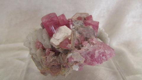 Elbaite var. Rubelite - Bisbeeborn - 1