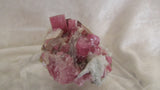Elbaite var. Rubelite - Bisbeeborn - 3