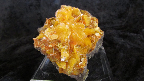 Wulfenite - Bisbeeborn - 1