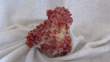 Vanadinite - Bisbeeborn - 2
