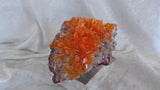 Rowley Wulfenite - Bisbeeborn - 2