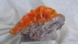 Rowley Wulfenite - Bisbeeborn - 1