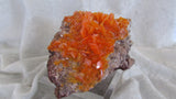 Rowley Wulfenite - Bisbeeborn - 4
