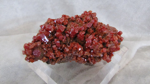 Pure Potential Vanadinite - SOLD - Bisbeeborn - 1