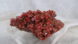 Pure Potential Vanadinite - SOLD - Bisbeeborn - 2
